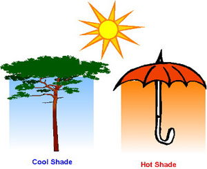 hto and cool shade